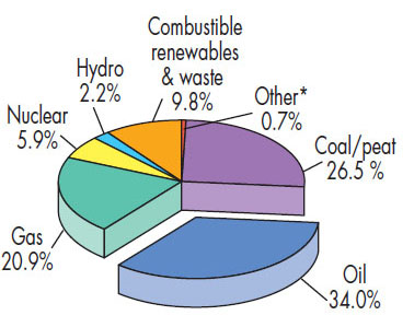 A breakdown of the world energy supply in 2007. (Source: International Energy Agency)