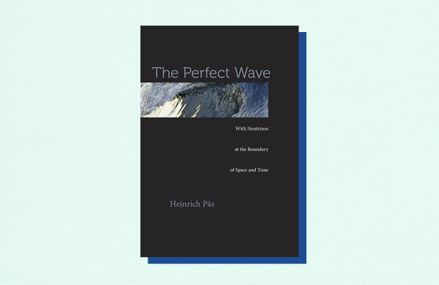 Illustration of book cover "The Perfect Wave" by Heinrich Pas