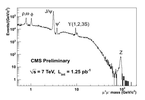 Image of CMS Preliminary Full 2