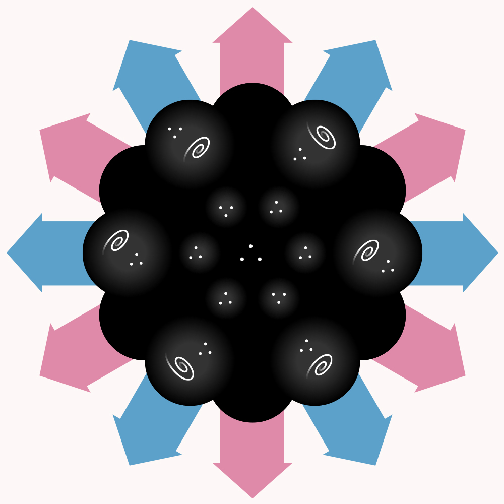 Flower shaped black shapes with cosmos inside and pink and blue arrows surrounding it