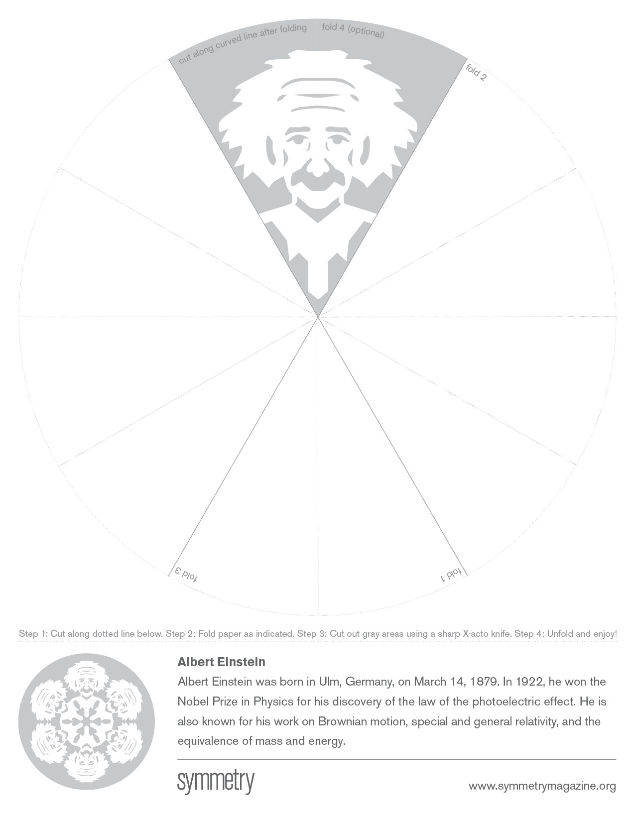 Illustration for Snowflake Template of Einstein