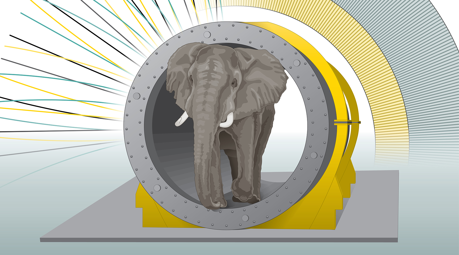 Illustration of Elephant magnet