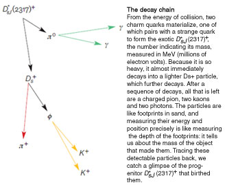 The Decay Chain