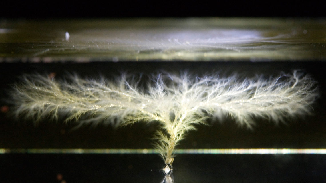 Image of electrons rush out from a single point, following the same flow rules as river systems and lightning bolts