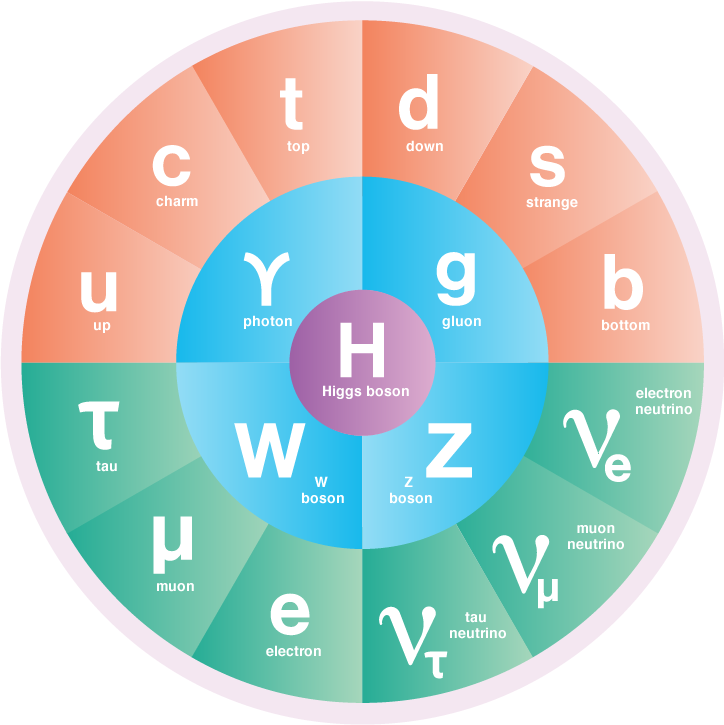 Whats A Standard Model At Milla Hawthorn Blog Whats A Standard Model At Milla Hawthorn Blog