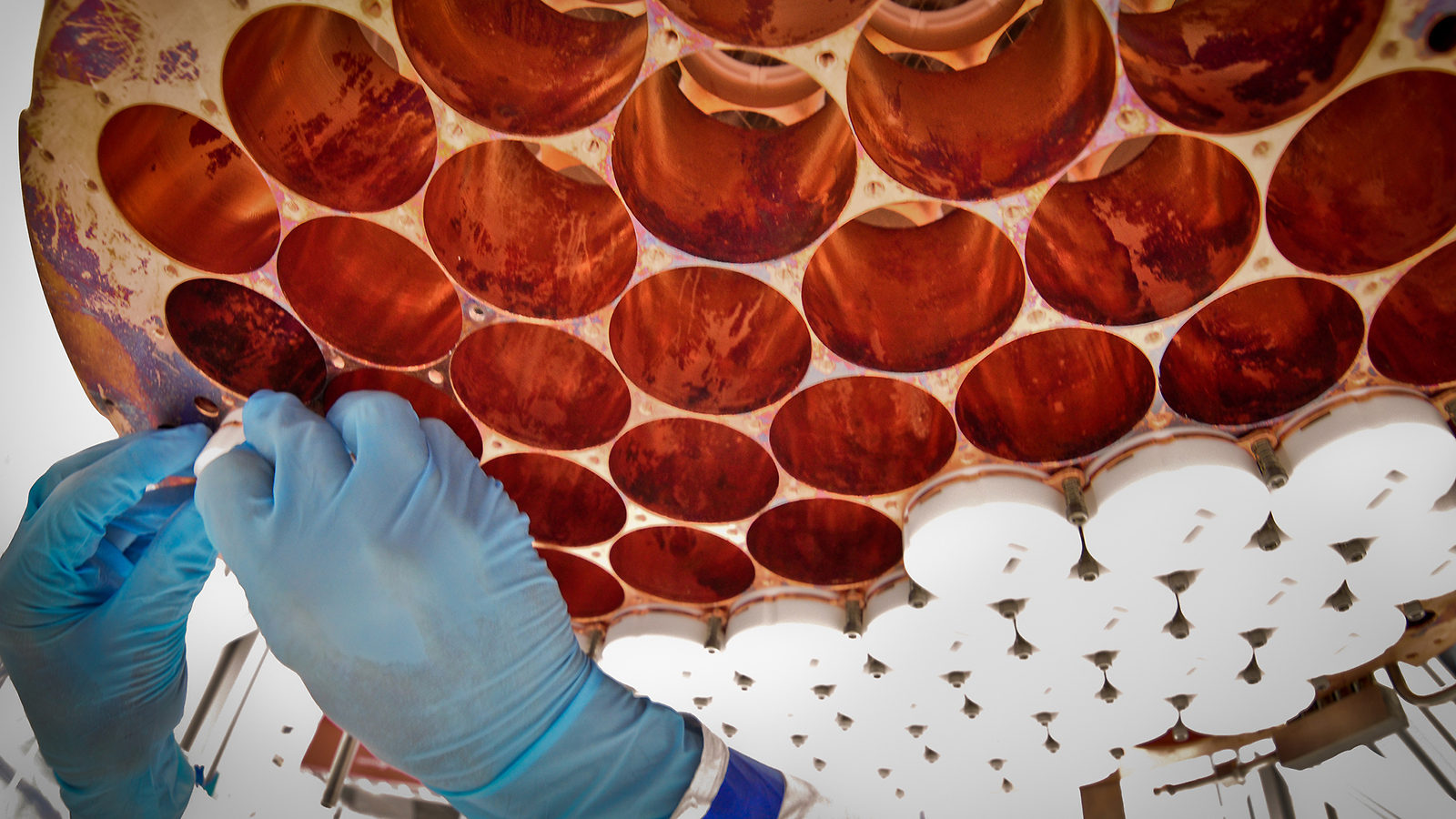 Photo of scientist building LUX