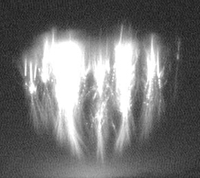 A sprite formed by an intense thunderstorm (Credit: Oscar van der Velde, Universitat de Catalunya, Spain and Serge Soula, Laboratoire d'Aerologie, France)