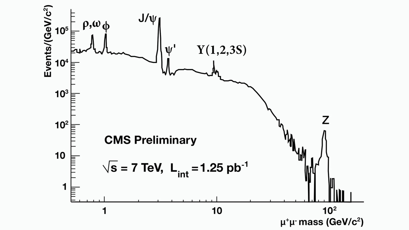 Image of CMS Preliminary Full