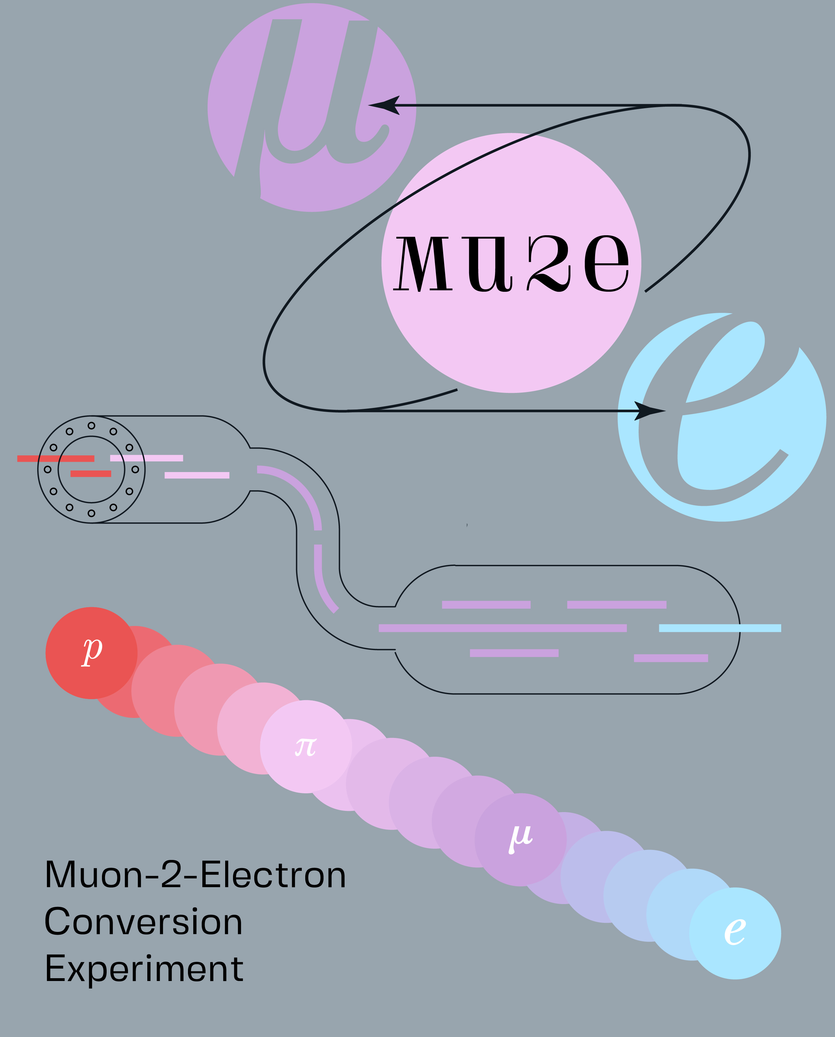 Muon-2-Electron Conversion Experiment