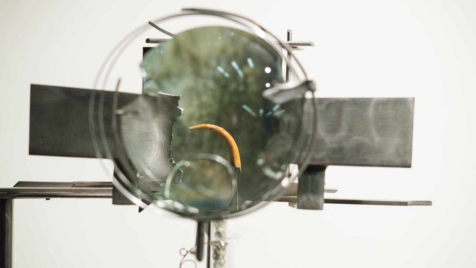 Photo of Jenkins’ sculpture called The Failure of the Material, he uses a magnifying glass on an owl talon