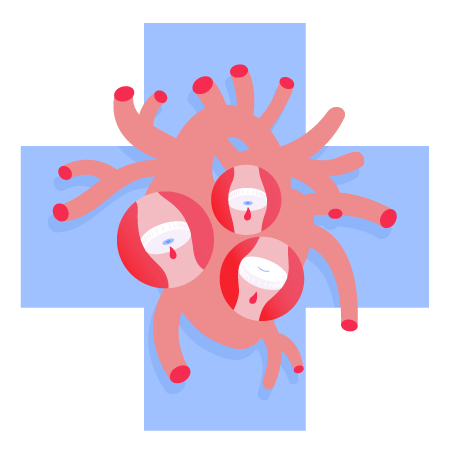 Illustration of heart valves (red) on top of plus sign (blue)