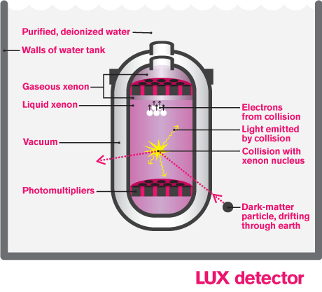 Illustration of LUX detector purified deionized water