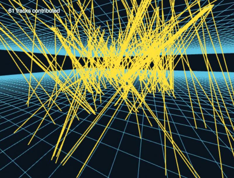 Image showing the crowdsourcing software renders the particle tracks as a 3D image