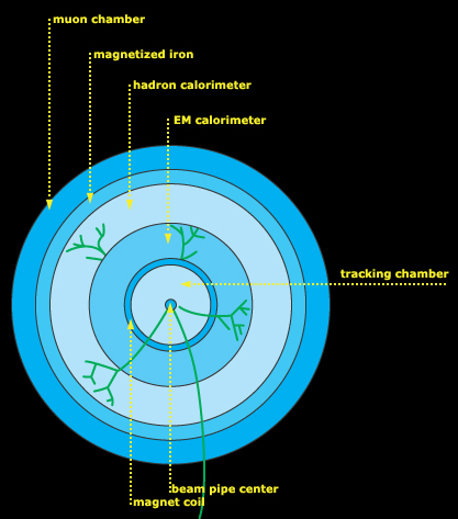 particle detector basics