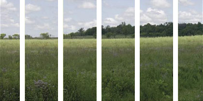 search for extra dimensions