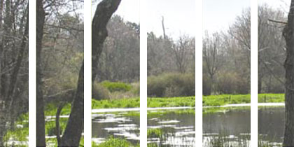 search for extra dimensions