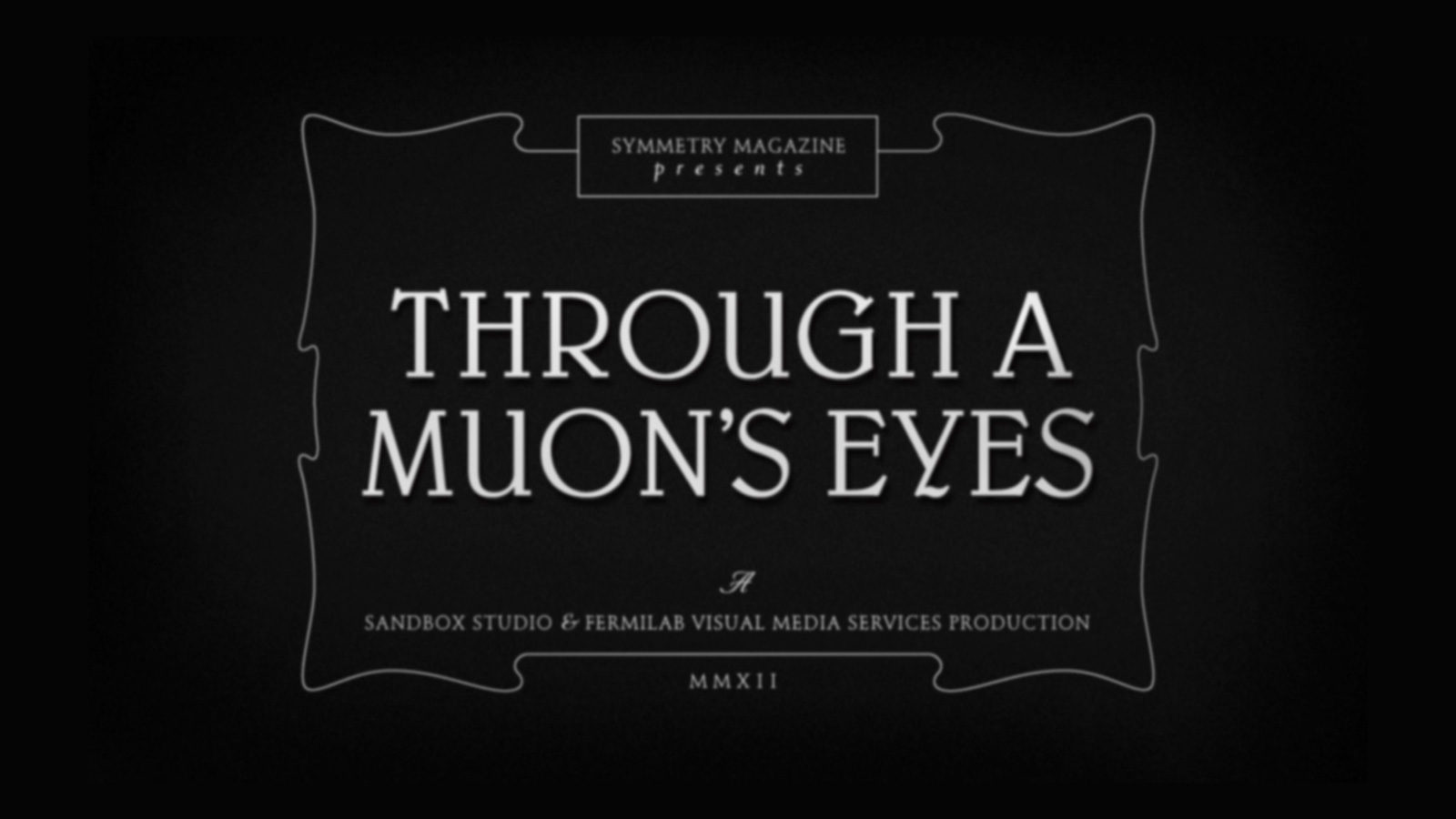 Through a Muon's Eyes