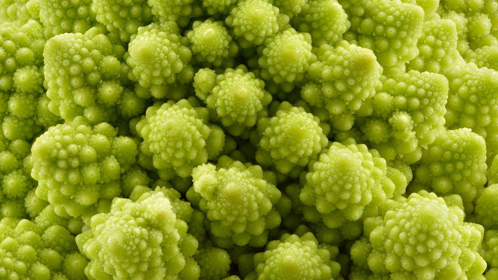 Close-up photograph of Romanesco broccoli