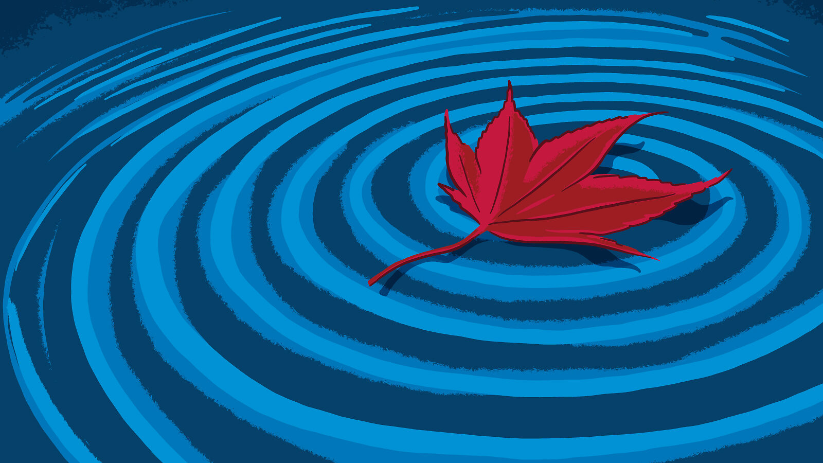 Illustration of a floating Japanese Maple leaf making waves in water