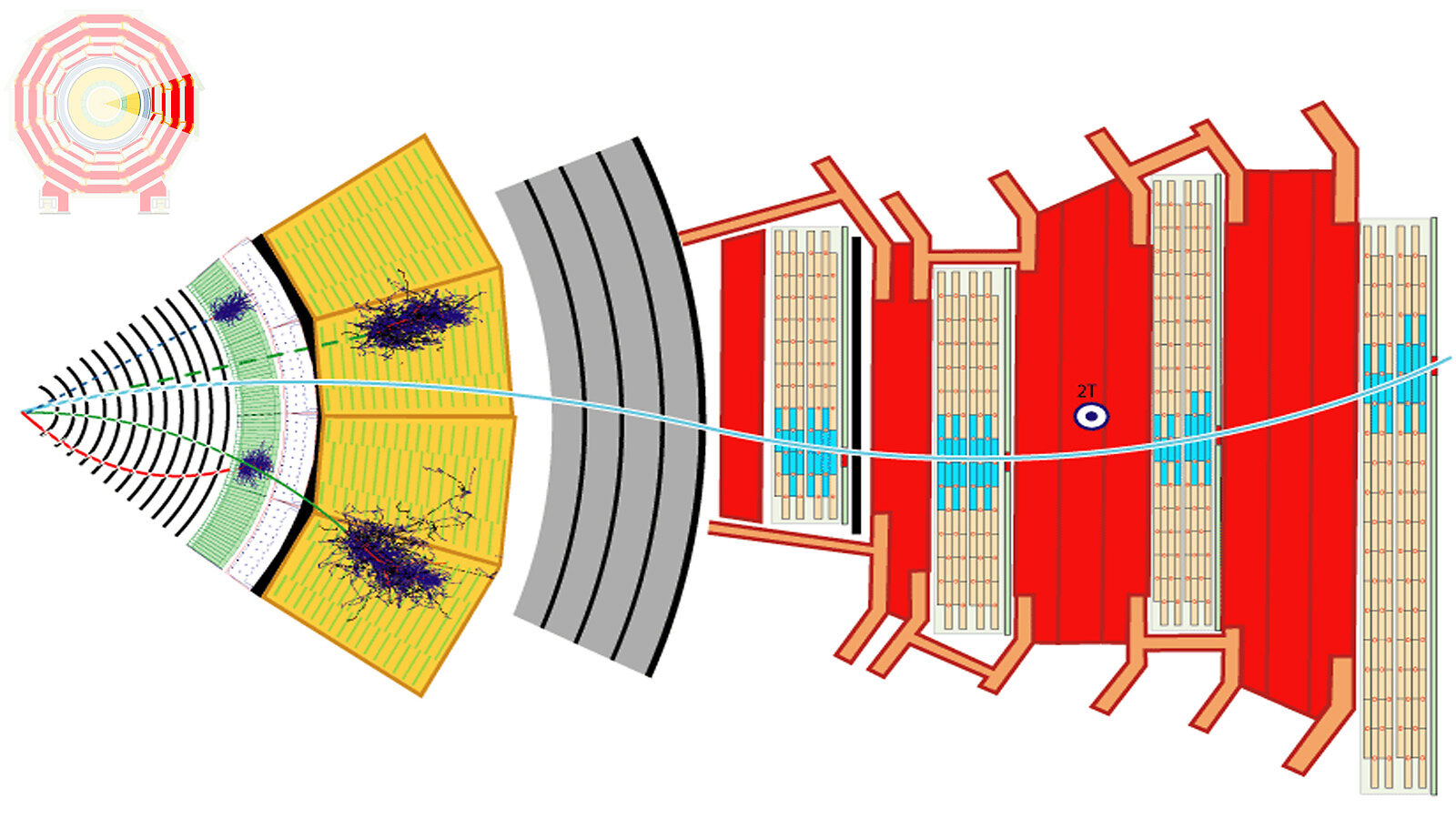Diagram of the progress of a muon through the CMS detector