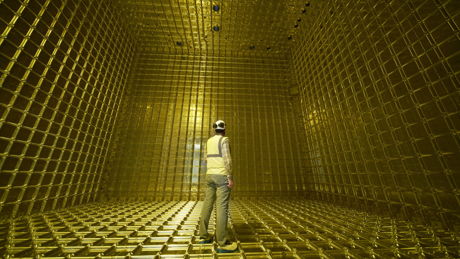 A researcher stands inside of the detector
