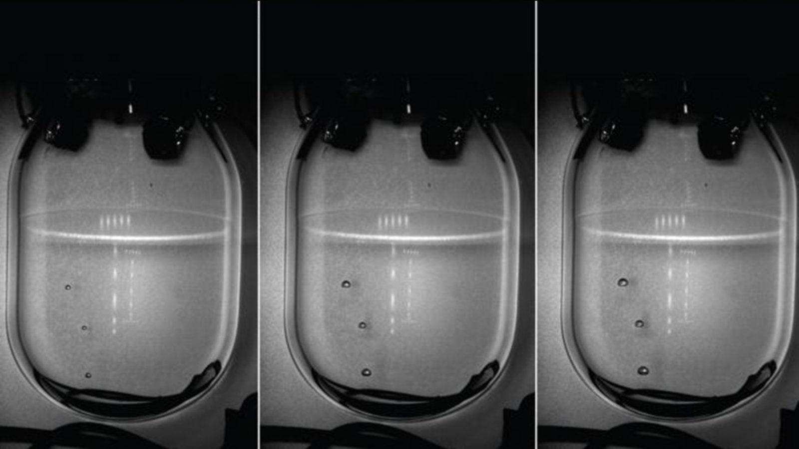 Photo of S2B: COUPP bubbles