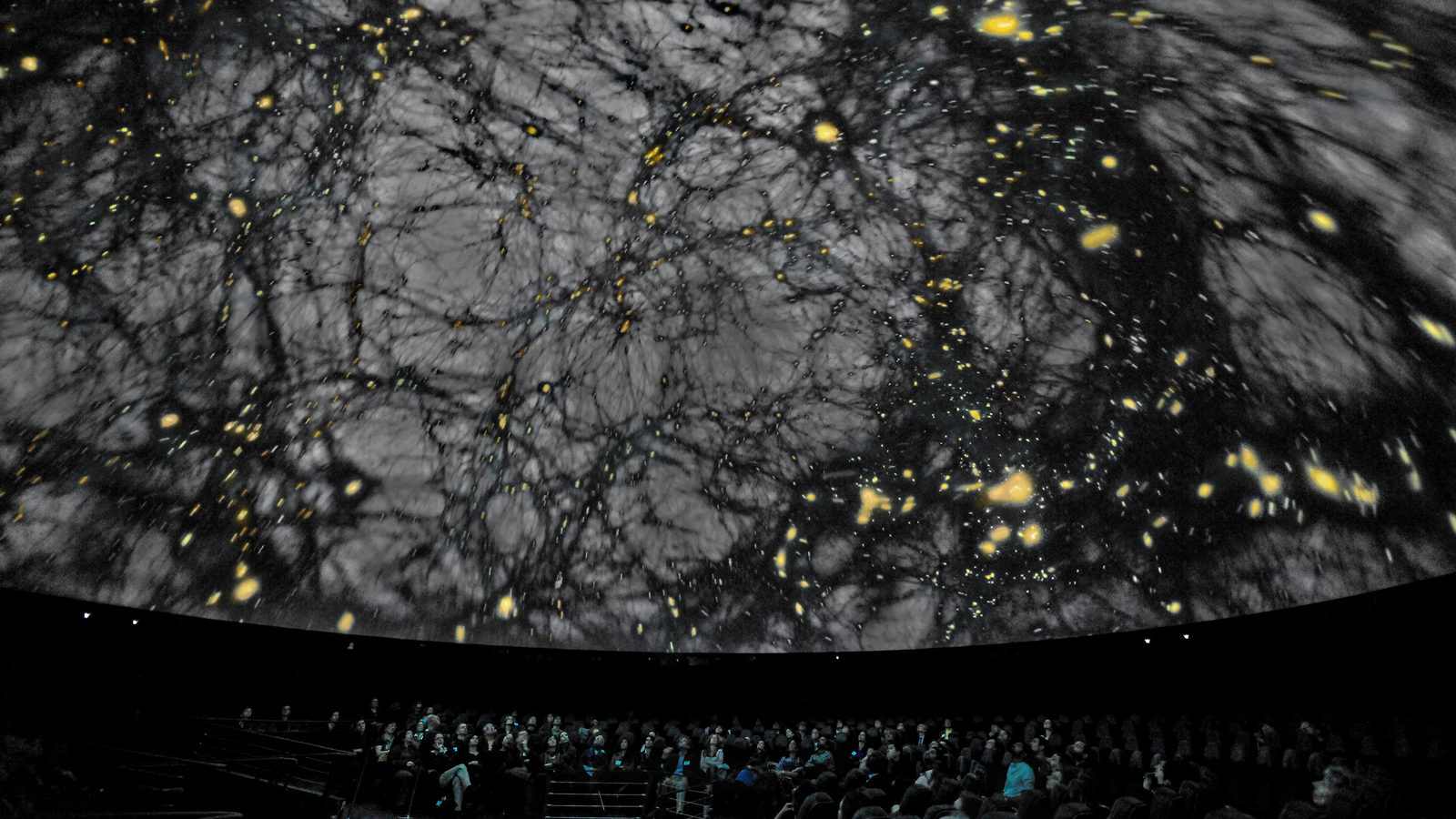 Photo of KIPAC's dark matter visualization screened in front of an audience in the Hayden Planetarium