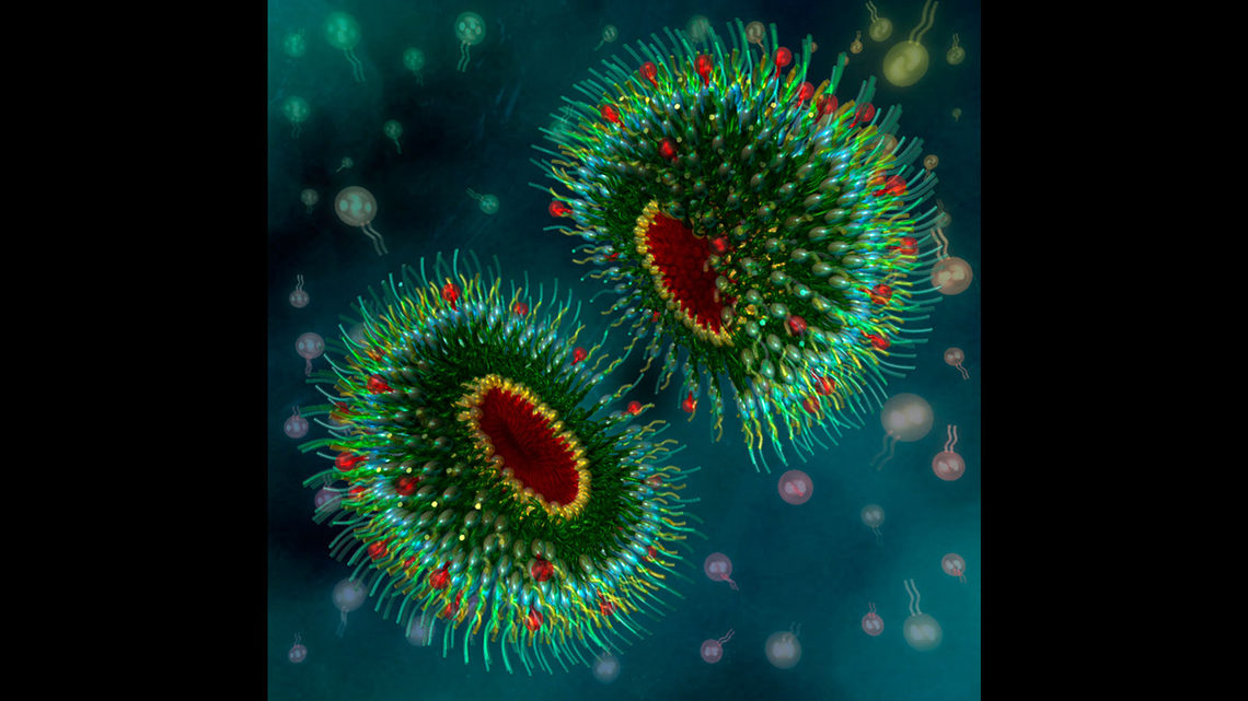 Illustration of two vibrant viruses with surrounding particles