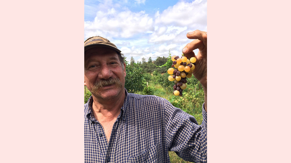Pasner's dad holds a bunch of grapes from the farm