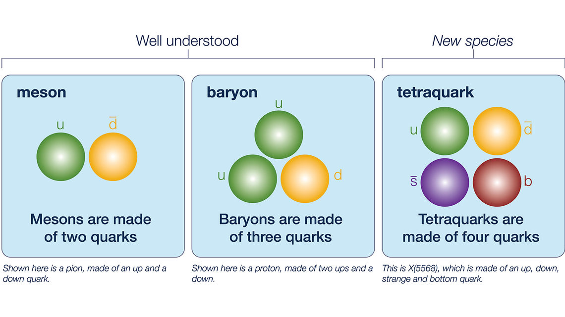 Quark Chart