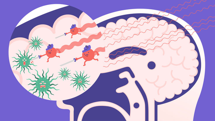 Illustration of particles fighting bacteria in someones brain