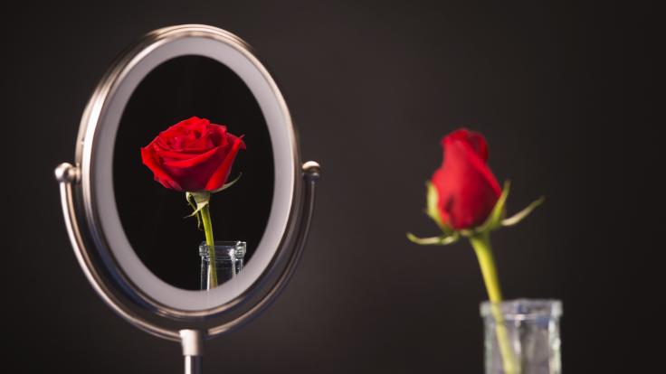 Photo of closed rose in mirror it is open 