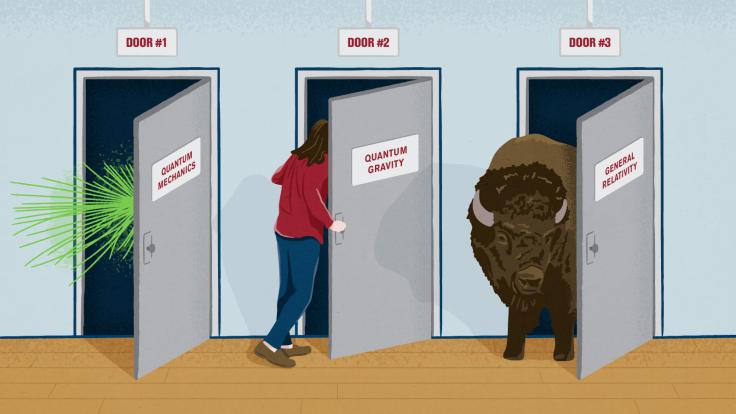 Illustration of person looking behind doors labeled with scientific concepts