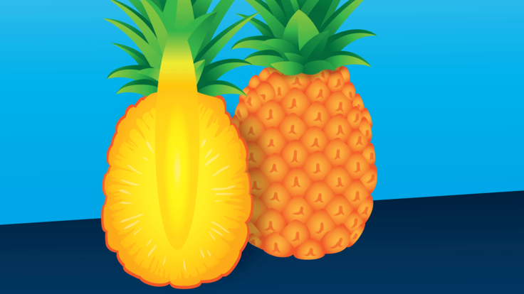 Illustration of pineapple (right) pineapple cut in half (left)