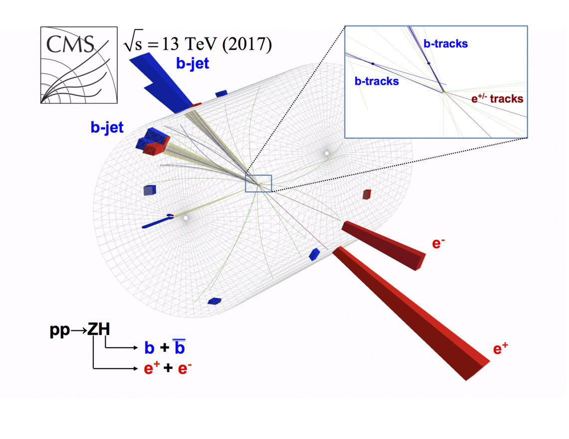 Image representing a particle collision in the CMS detector.